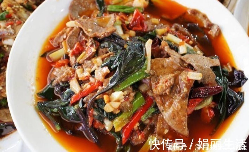 皮菜|天然的“补血菜”找到了,每天炒一盘,补血养血,手脚不再冰凉