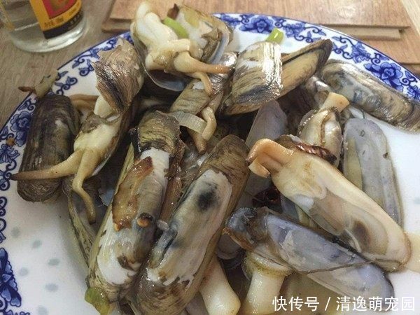 儿媳妇|夫妻回农村老家,父母准备一大桌菜,媳妇吃两口就不想吃了