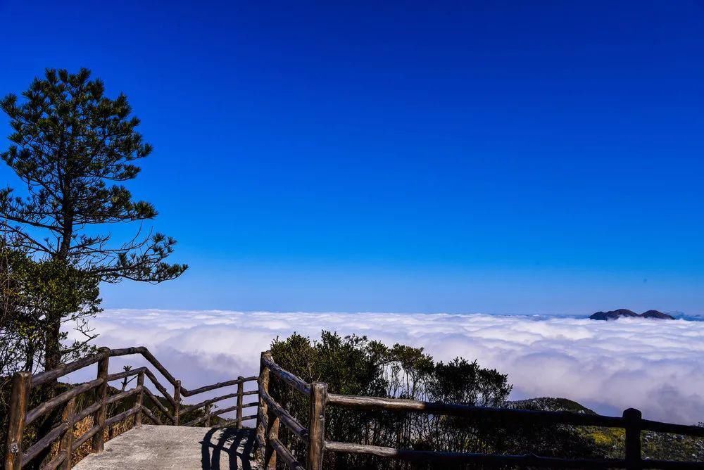 德化九仙山、石牛山或现绝美云海奇观！赶紧约起！~