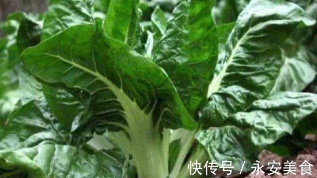 食物|聪明女性坚持吃3种食物,美容养生、滋润肌肤,好吃又不贵!