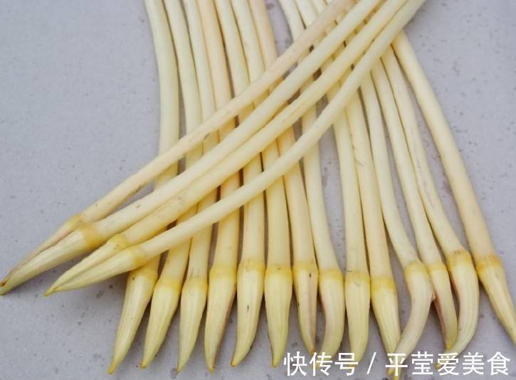 莲心茶|全身是宝,果实清甜,叶子可做茶叶,根很多人爱吃,梗也是美