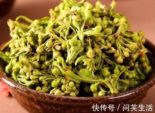 食物|女性养生推荐常吃三种食物,滋补身体,好处多多