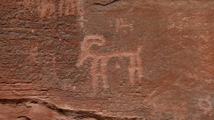 新华视点|穿越千年的“语言” 你读懂了吗