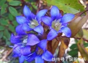 氨基酸 谁说国货护肤品不如日韩这些“宝藏”级护肤品，我只想无限回购！