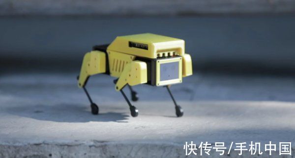 机器狗|开源微型机器狗Mini Pupper开售 众筹价格589美元