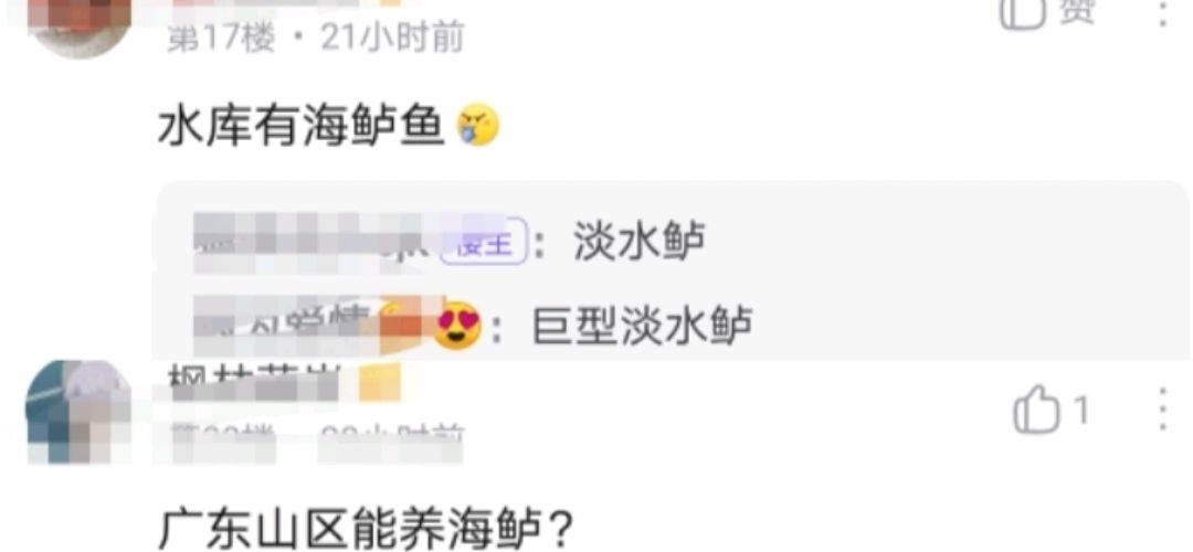 路亚|广东潮州一水库，有人钓起10多斤海鲈鱼，网友：水库有海鲈？