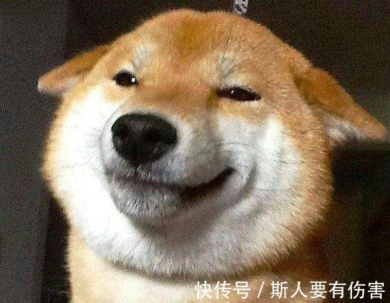 |十条笑话：不好意思亲到你了，不会怀孕吧！你加我微信！