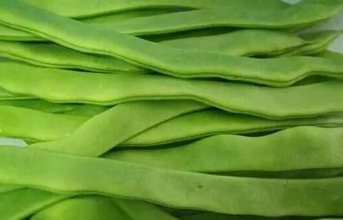 小肚腩|三伏天的“祛湿王”，每天坚持吃一吃，排出湿毒，小肚腩也不见了！