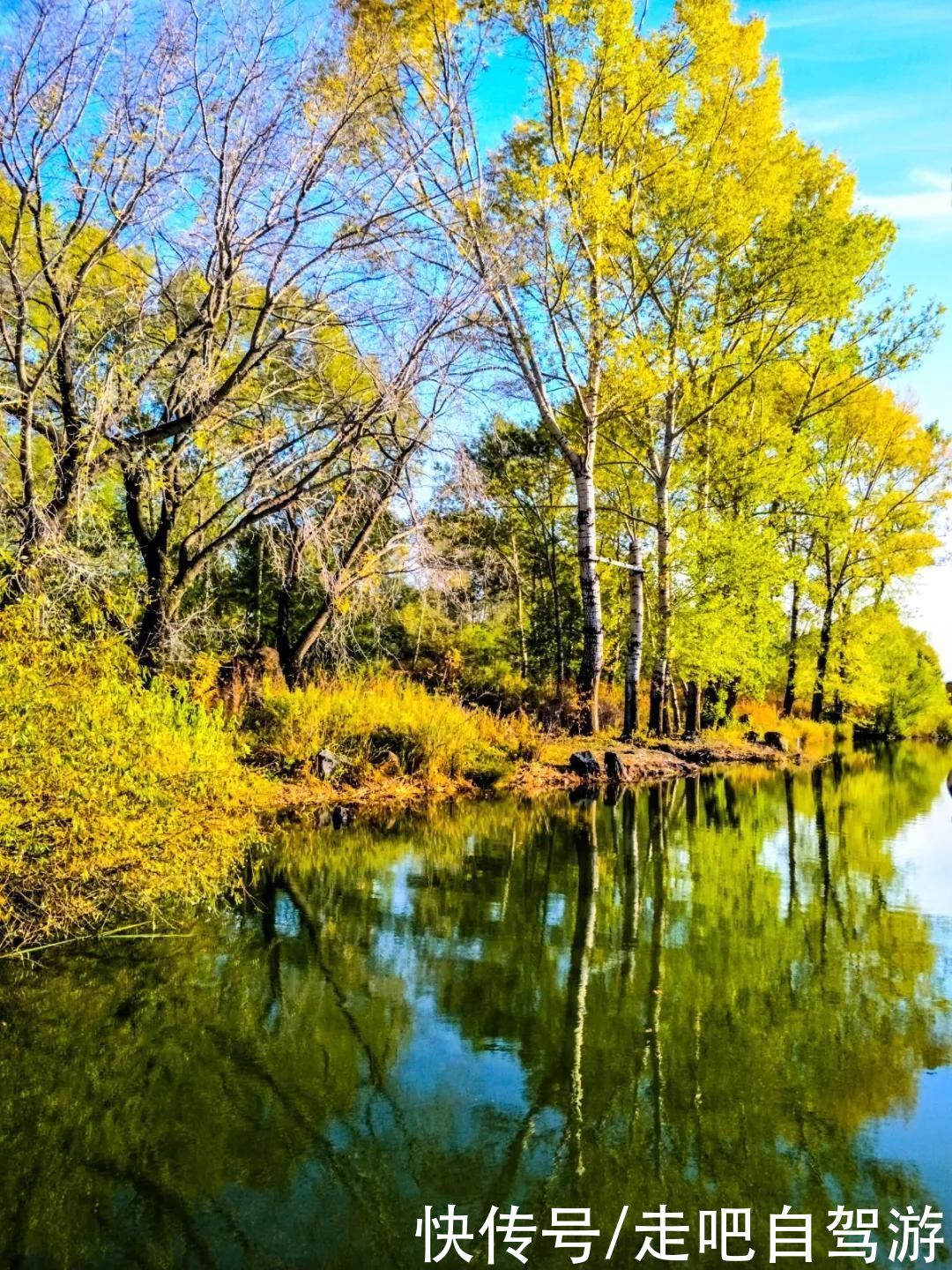 老年|这些公园，又仙又美，秒杀国内众多景点，很多人喜欢一去再去