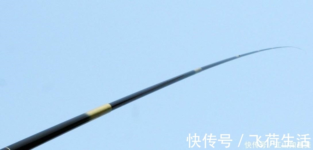 渔课堂|硬鱼竿和软鱼竿各有什么优势看完以下分析,发现我用错了很多年