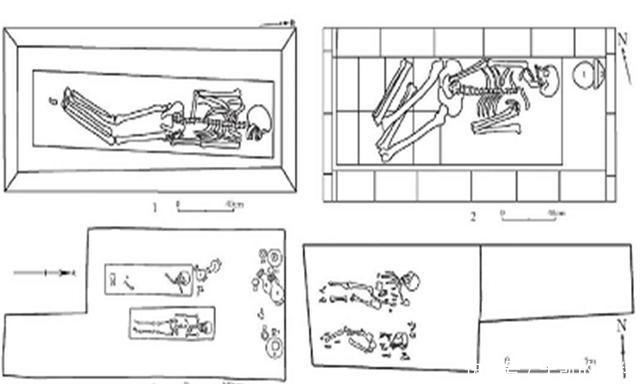  下部夹角|京津地区发现屈肢葬墓，墓主姿势多样，专家：和尊卑有关