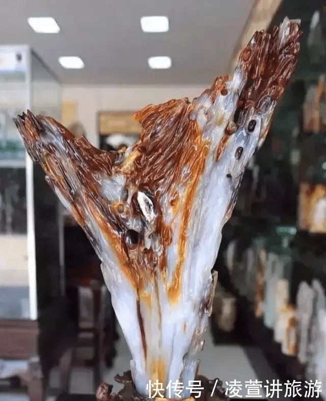 树化玉|亿万年前的宝贝,形似冰种翡翠,估值数百亿