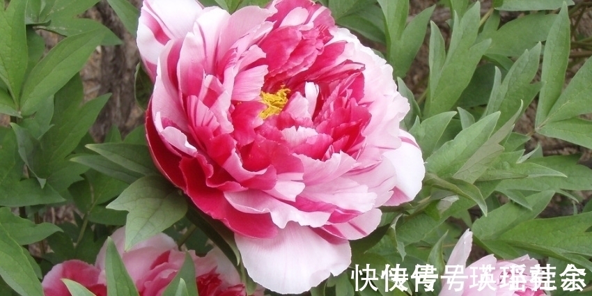 手软|最会“管老公”的三生肖女,管起老公毫不手软,却越管越有钱