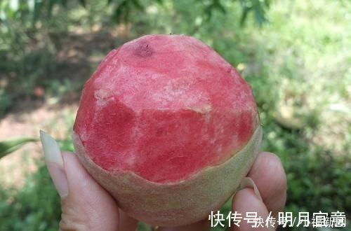 碳水化合物|怀孕时吃桃子会失去宝宝?是民间谣言还是事实?不放心都来看看