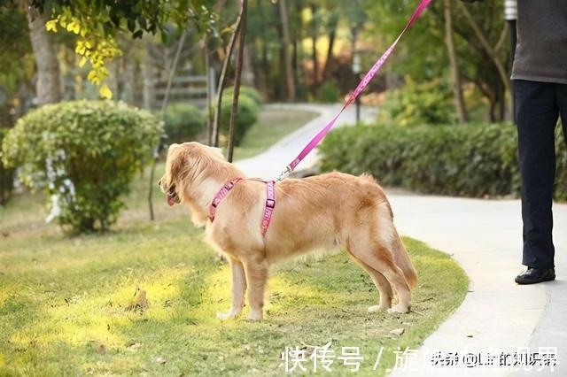 维纳斯|12个冷知识:生活中不太可能会用到,但可以扩展你的知识面