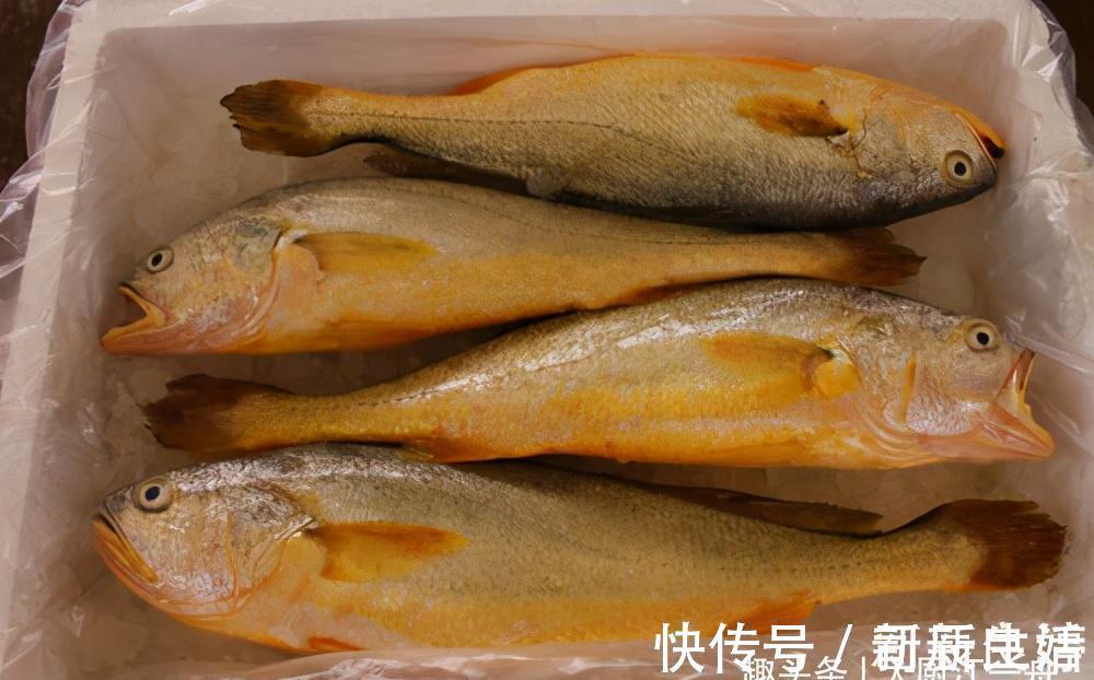 优质蛋白|才知道,这4种鱼营养价值高,市场看见别错过,一次可以多买几斤