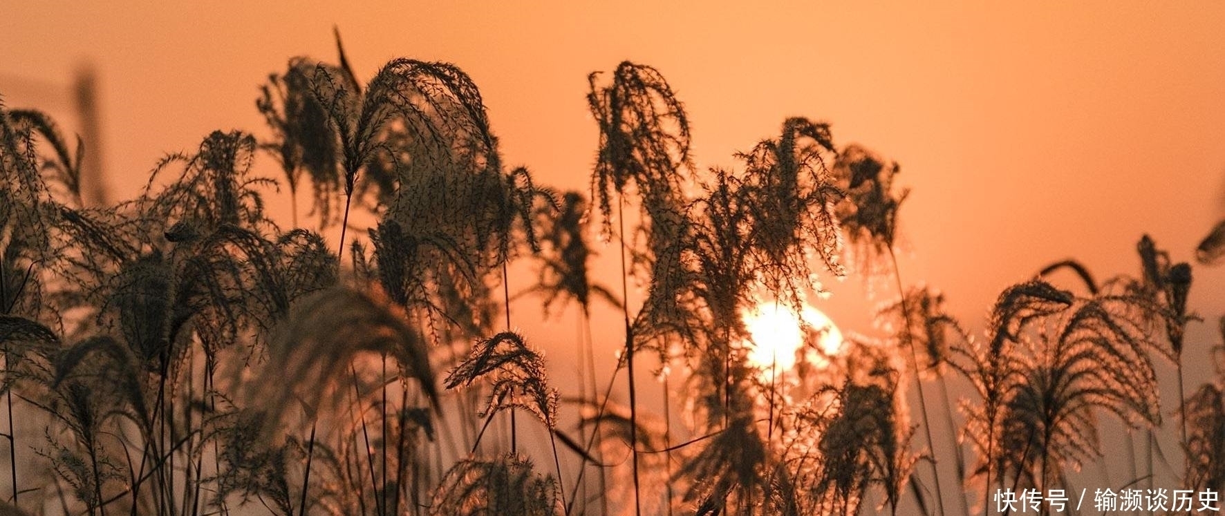 题目|元代著名画家的一首小令，美得心醉，从开篇美到结尾，连题目都美