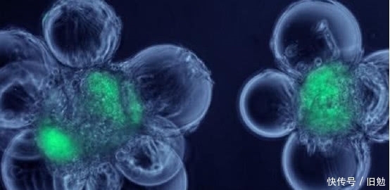 上帝粒子 掌握宇宙生死权,它被称为“上帝粒子”,能毁灭和创造一切