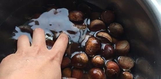 好吃|板栗好吃不好剥资深吃货透露小妙招,这样做,省时省力还不伤手