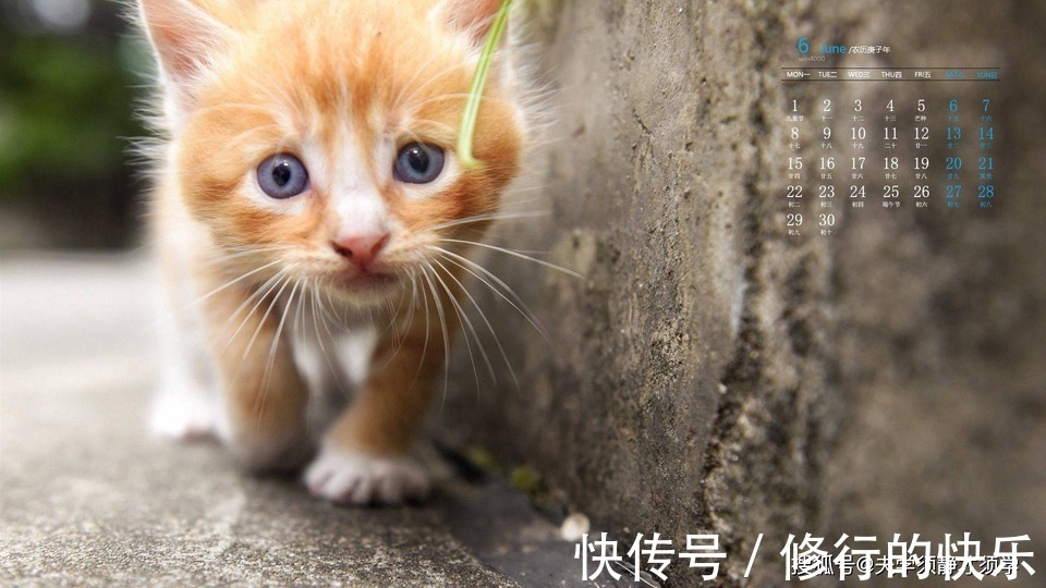 |幽默笑话:昨晚单位聚餐,因为开心多喝了一点,回到家被我媳妇臭骂了一顿!