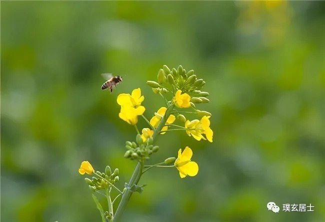 万物#读懂《道德经》的人，强大到可怕！