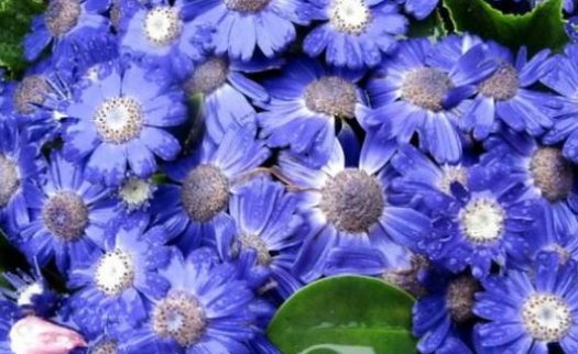 2020年天蝎座会和前任复合吗天蝎座会和前任复合吗 鸟基地博客