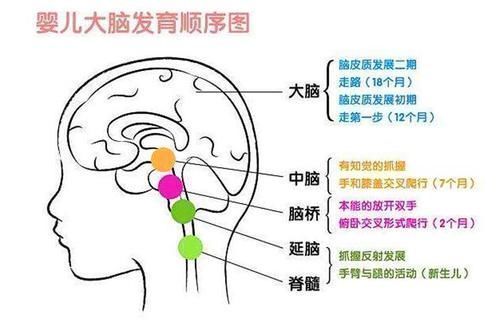 智力发育|李玫瑾孩子智力发育“高峰期”,有3个时期,用3招提高孩子智商