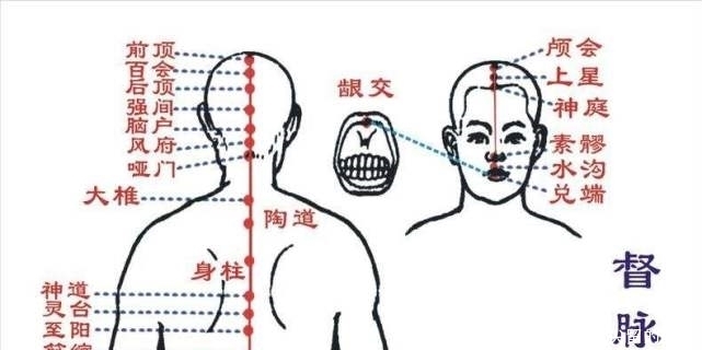 中医基础理论|中年人鼻毛变白,说明什么?