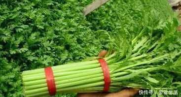 豌豆|吃了更年轻的食物,不可错过,皮肤水嫩嫩,气血更红润,身体健康