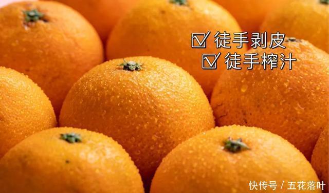 到底|到底多好吃的橙子,才配叫果冻橙