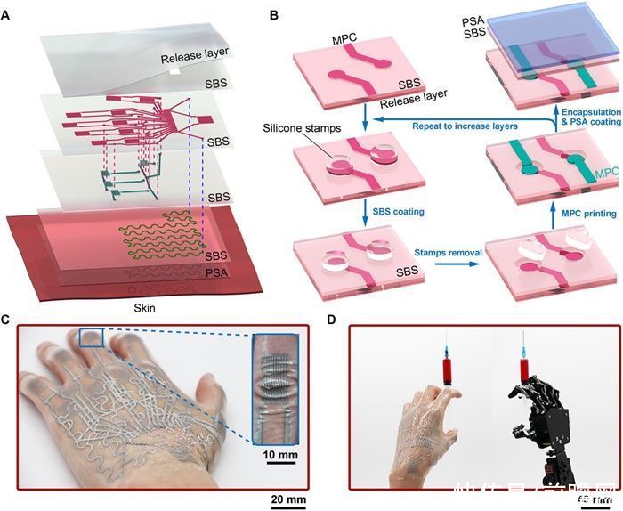 8倍延展!中国研究团队开发出新型电子纹身 1000次拉伸后传感灵活性依然惊人