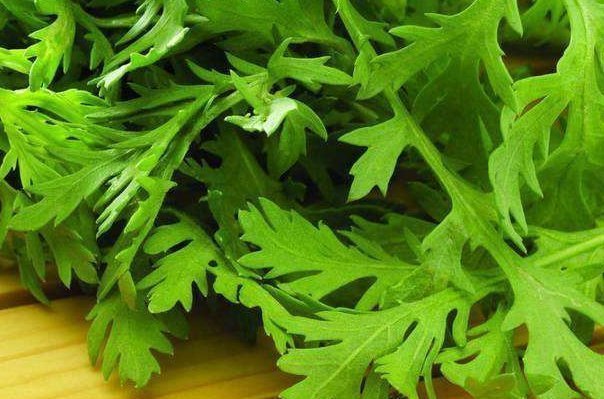 兔肉|芹菜的“死对头”，两者不能一起吃，尤其最后一种，早知道早受益