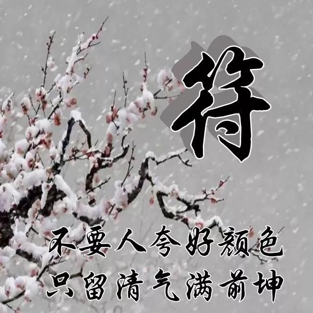  红梅|红梅花儿开，朵朵放光彩，千里冰霜脚下踩