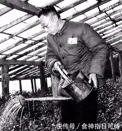 遗产|溥仪因病去世后，留给妻子多少遗产看完清单后，专家不可能