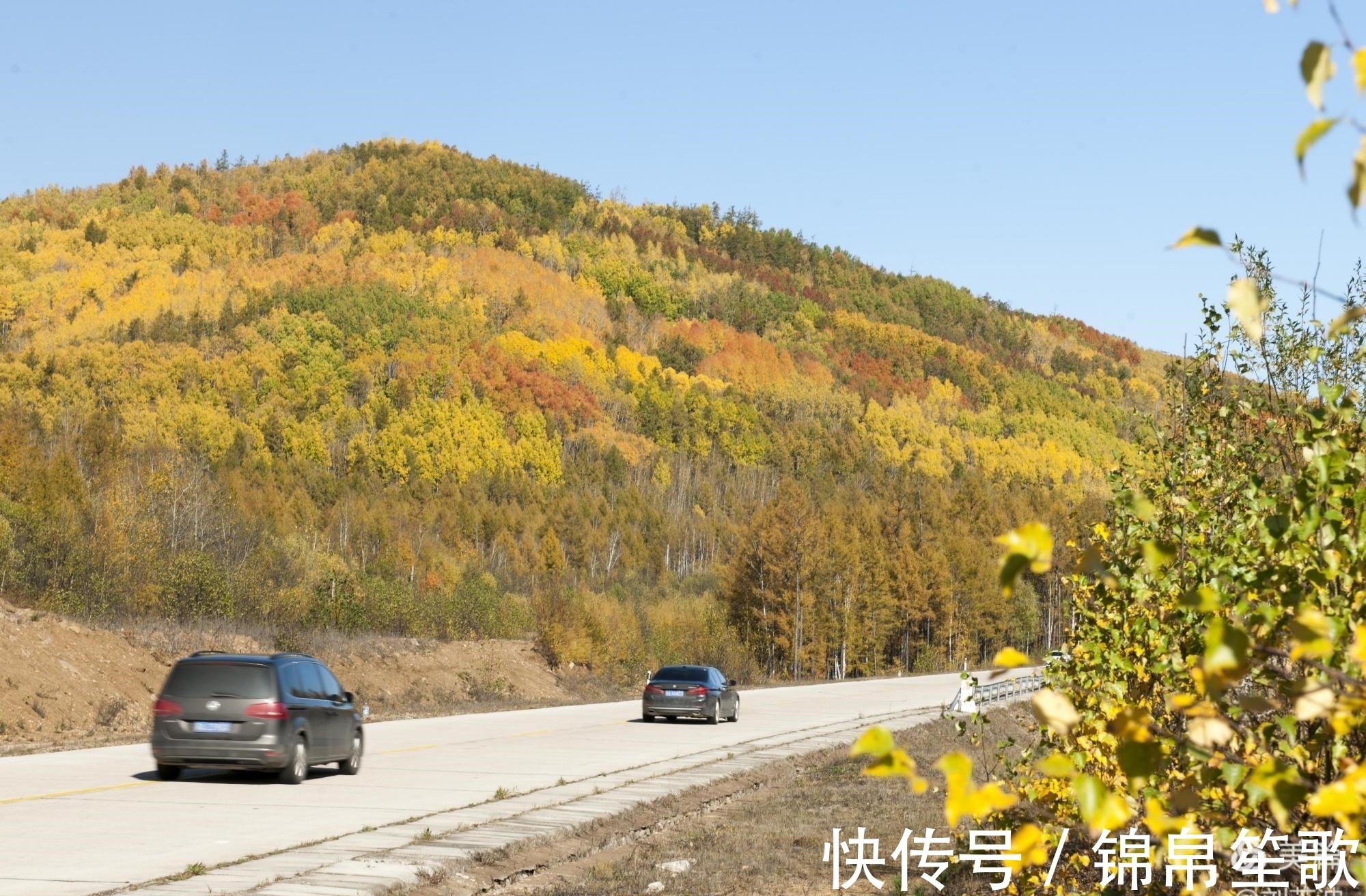 走进大兴安岭遇见秋色