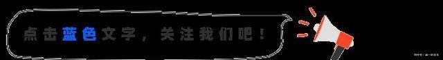 盛夏养盆棕竹在室内,耐阴好养清凉清新还有南国风情!