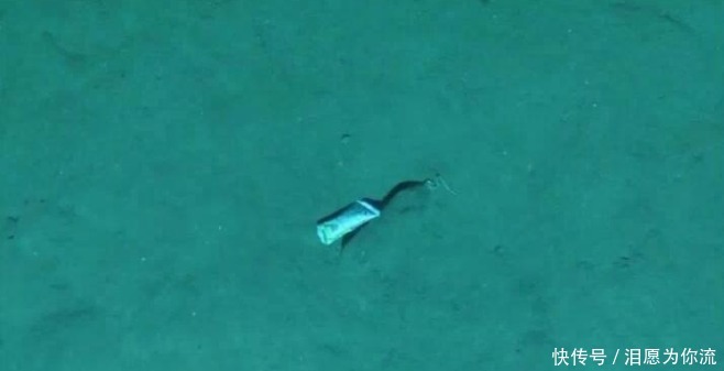 3900米海底深處,“潛龍三號(hào)”拍攝了一組照片,我們應(yīng)該反思