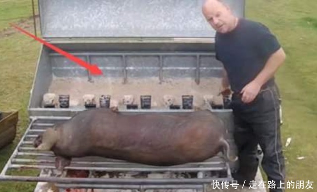 入机器内|猪好吃可毛却不好刮,于是发明了“刮猪毛神器”,设计非常的人性