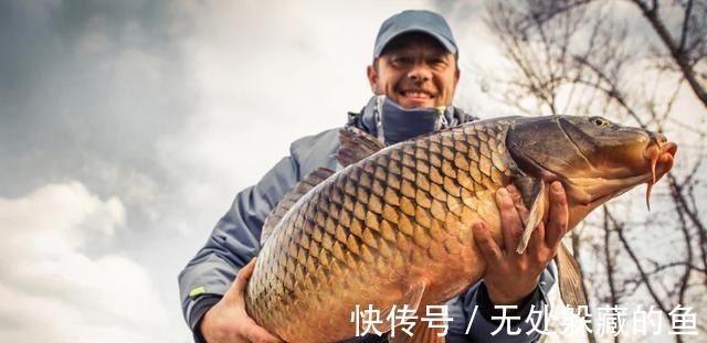 血管健康|医生提醒4种鱼可能影响健康,尽量少吃,建议及早了解!