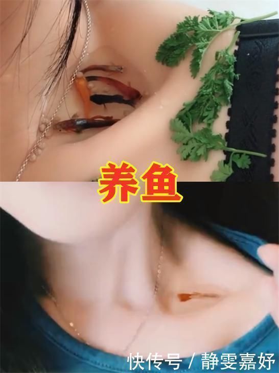 女生|全网都在“炫锁骨”放硬币VS开瓶盖,看到草莓印单身狗哭了