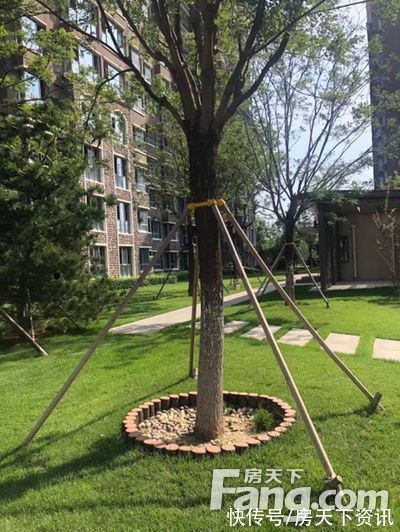 蓝湾|夏威夷蓝湾新拍现场图片，实时了解楼盘新动态