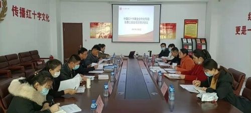 中国红十字基金会中央|市红十字会召开大病儿童救助项目专项工作培训会议