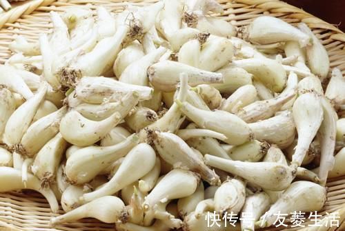 郭老|此物像葱又像蒜,通血管不输三七,却便宜太多!农村遍地都是!