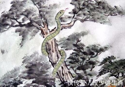 贵子|年前赚得金银满库,3生肖贵子进家门,前途光明,收入连连上涨