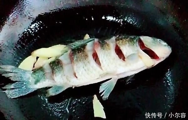神奇|鲫鱼的神奇做法,补血又养胃,好吃又营养,绝对是一道硬菜