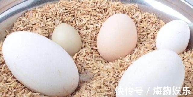 脑神经|怀孕后吃鹅蛋可以去胎毒吗,啥时候吃鹅蛋更好一些