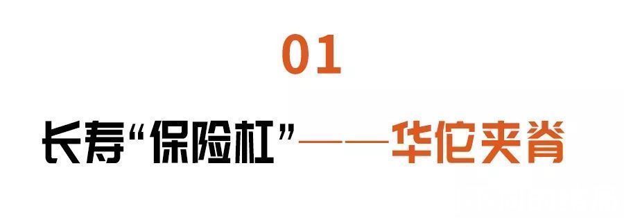 夹脊穴|身上有条“长寿脊”，简单三招打通它！心肺不适、腰疼、颈椎痛全部见了~