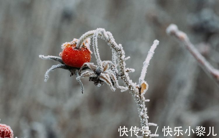 探险|喜欢探险，也装傻充愣的星座，看穿不说破，表面单纯实则城府很深