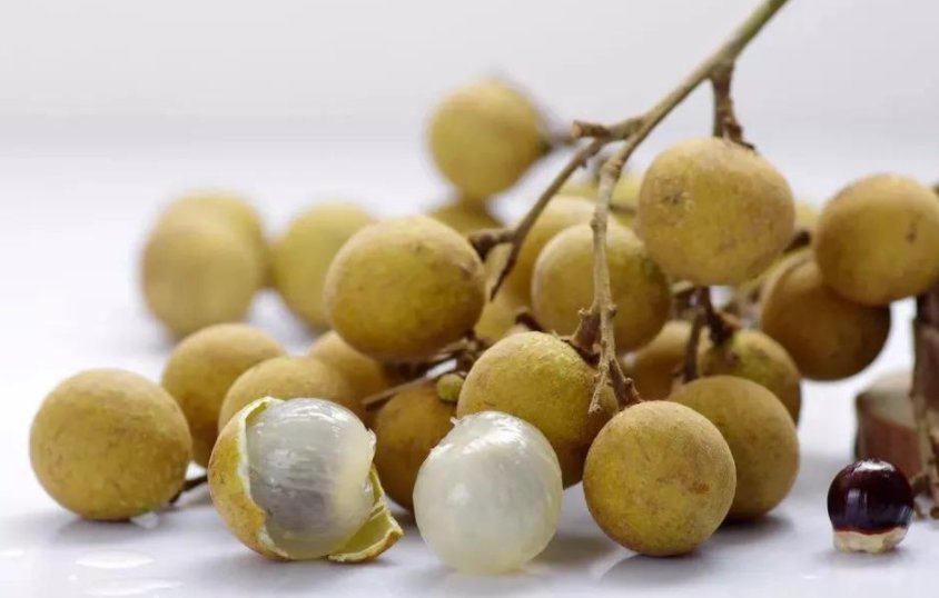 鲜桂圆|“南方桂圆北方参”,这么吃桂圆补养气血、健脑益智!