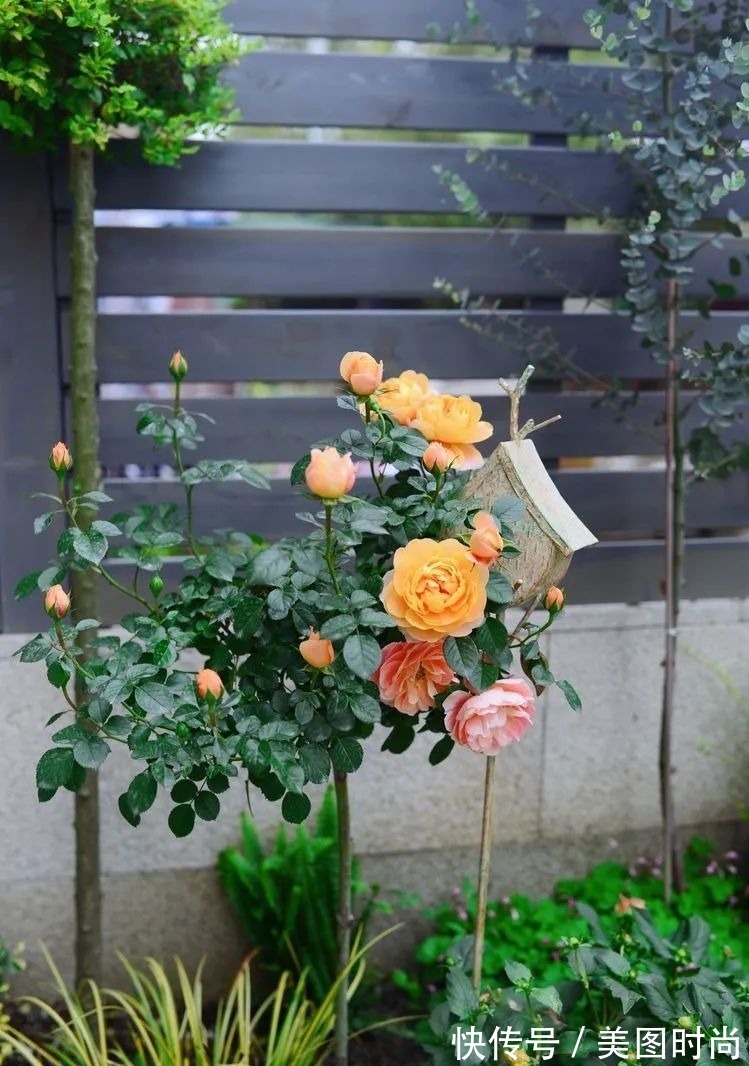 防腐木|为了这个45㎡小院子，坚持买了一楼，打造成花园后比别墅还好看